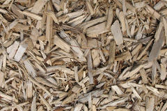 biomass boilers Ruardean Woodside